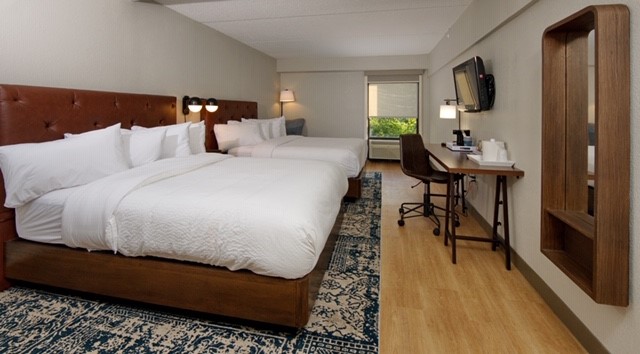 Four Points New Room Photo